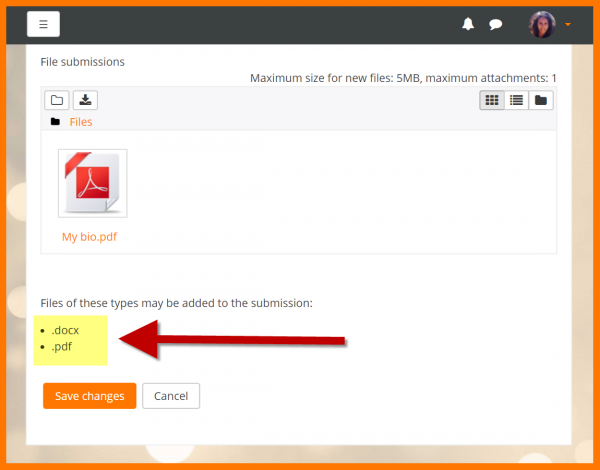 You'll hear the text "Files of these types may be added to the submission", then a list of accepted file extensions.