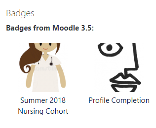 nursing badge in profile